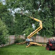 Best Tree Mulching Services  in Colusa, CA